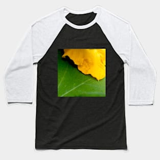 Pumpkin Blossom & Foliage Baseball T-Shirt